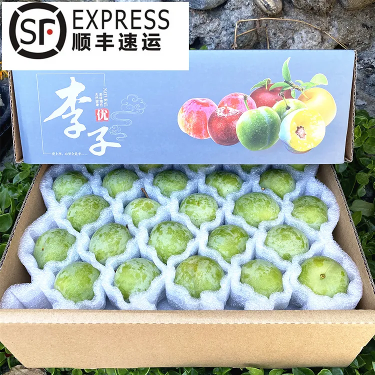 【唯果多】顺丰速运四川汶川茂县高山青脆脱骨李油脆李现摘现发