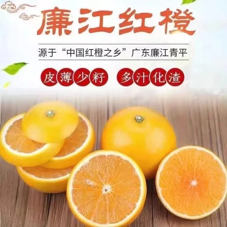 廉江红橙红江橙红江农场直发现摘现发孕妇水果酸甜适中产地直发。