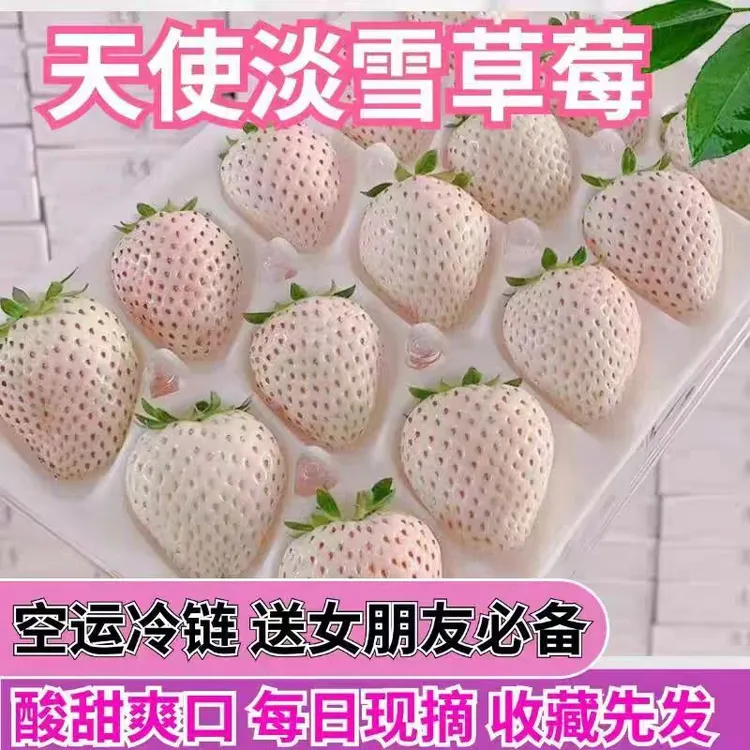 顺丰空运白雪公主淡雪白草莓奶油草莓现摘现发新鲜时令水果箱装