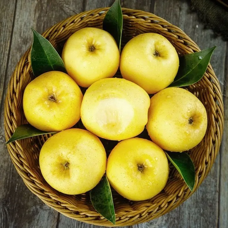 正宗老王家烟台维纳斯黄金苹果纯甜无酸9斤装