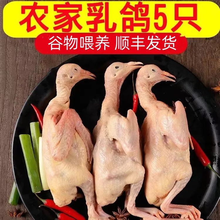 农家散养土鸽子乳鸽5只新鲜宰杀老鸽子肉清蒸烧烤炖汤好吃发顺丰