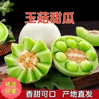 【赠挖球勺】头茬山东玉菇甜瓜新鲜当季软糯香甜3斤/4斤