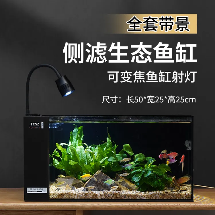 50侧滤水景鱼缸全套造景溪流雷龙缸中小型桌面超白玻璃客厅家用
