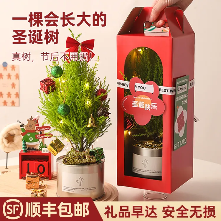 会长大的圣诞树圣诞节礼物小装饰摆件礼盒送女生闺蜜儿童男孩男生