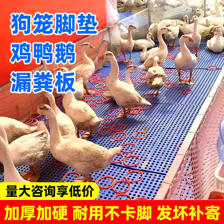 宠物笼子垫板狗笼脚垫板网格板鸡鸭鹅漏粪板塑料板散热板养殖垫板