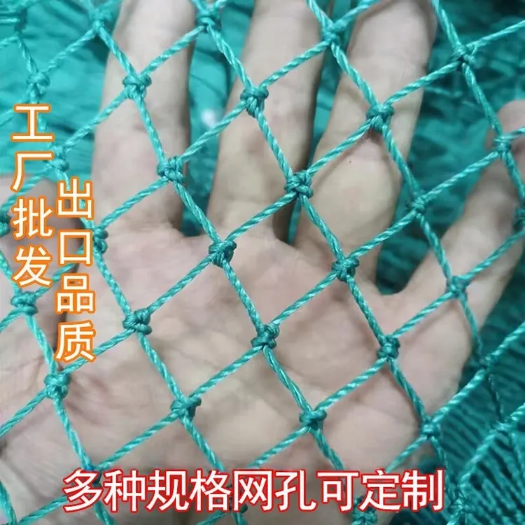 加粗防鸟网养殖天网围网大棚网果园尼龙网鱼塘网爬藤网鱼网防护网