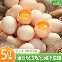 【50枚新品】农家土鸡蛋山林散养谷物喂养新鲜鸡蛋现捡现发