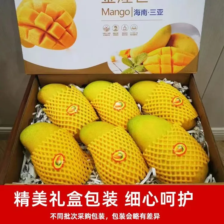 海南金煌芒果香甜多汁果肉细腻无丝纸核芒果新鲜水果礼盒顺特大果