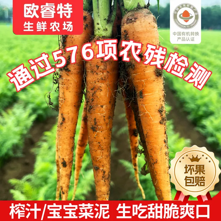 精品有机种植胡萝卜 低卡脆甜 农残无化肥榨汁蒸煮