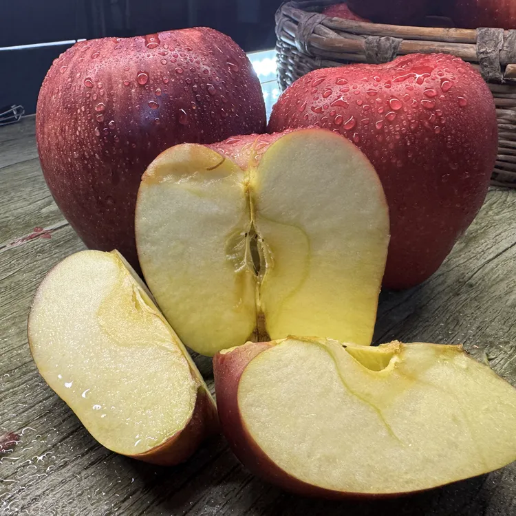 8斤高端定制礼盒装面膜正宗花牛苹果批发天水直发现摘现发