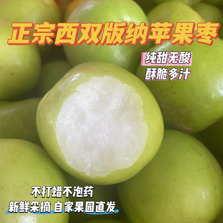 高端水果西双版纳苹果枣【核心产区橄榄坝】纯甜化渣脆爽多汁应季