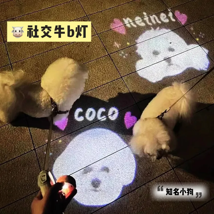 【社交牛b灯】宠物投影灯狗狗夜行外出防丢神器小狗夜间遛狗发光灯
