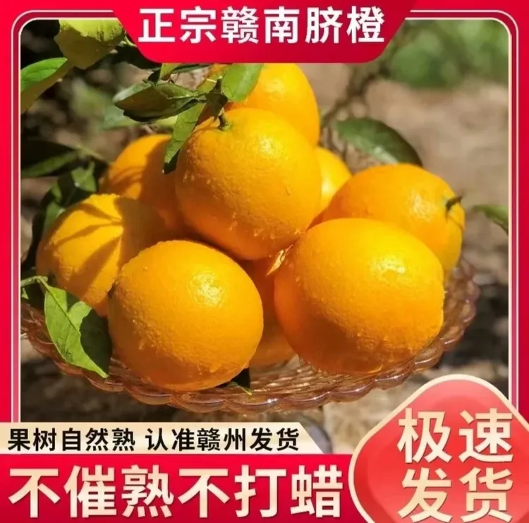赣南安远县新鲜采摘薄皮汁多橙子孕妇水果原产地直发