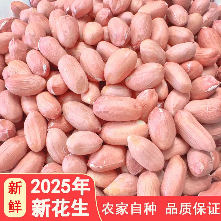 新花生米2025年新鲜饱满大白沙新生花生米河南省南阳花生仁农产品