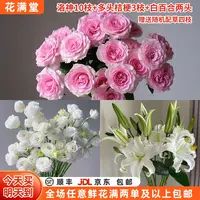 热卖【次日达·小仙女的花】洛神10枝+一份多头桔梗+白百合两头送随机配草四枝·鲜切花·两单鲜花包邮基地直发