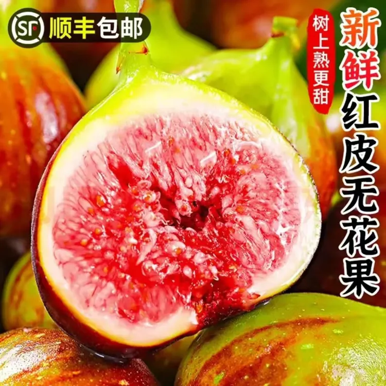 【头茬新果顺丰包邮】精选云南无花果应季鲜果一口咬出甜蜜好滋味