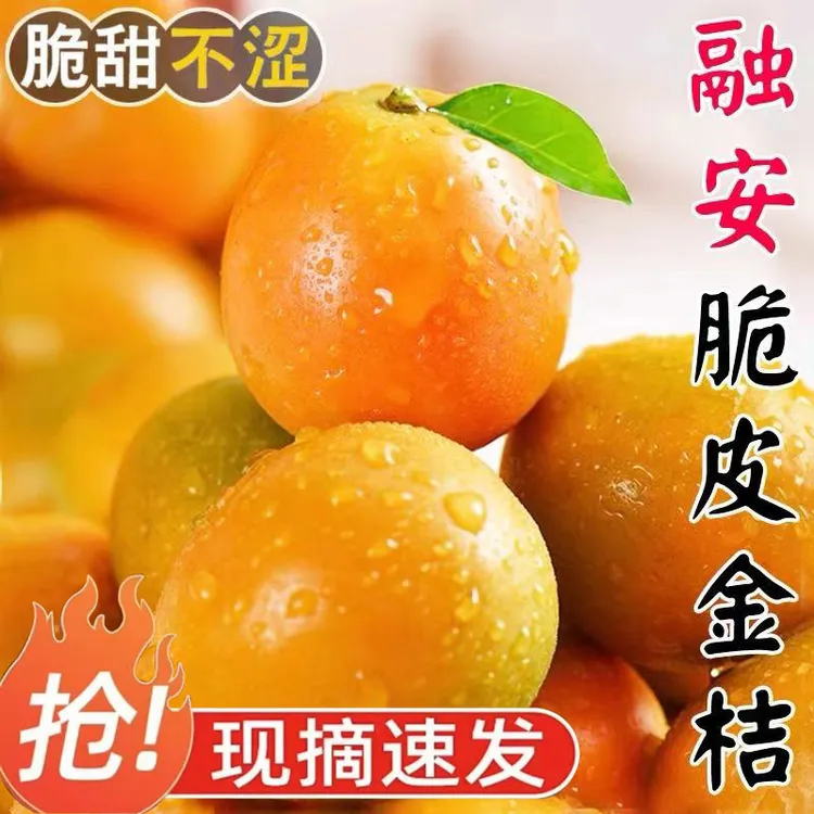 广西融安脆皮金柑鲜果单独包装第二代脆蜜金桔应季新鲜水果整箱甜