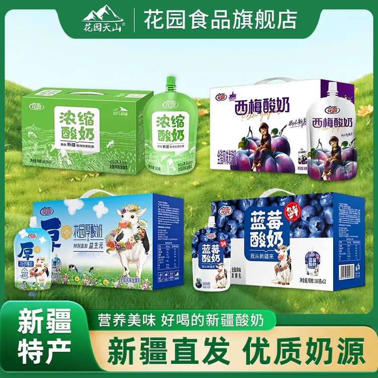 花园袋装酸奶160克*12袋酸奶全脂风味低温发酵乳新疆酸奶