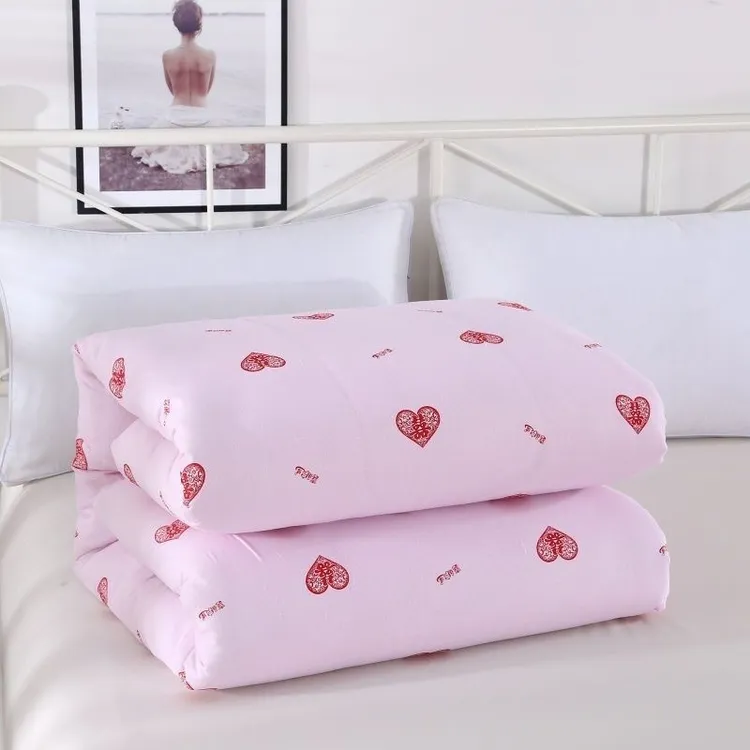 四季通用秋季保暖抑菌棉花被被子