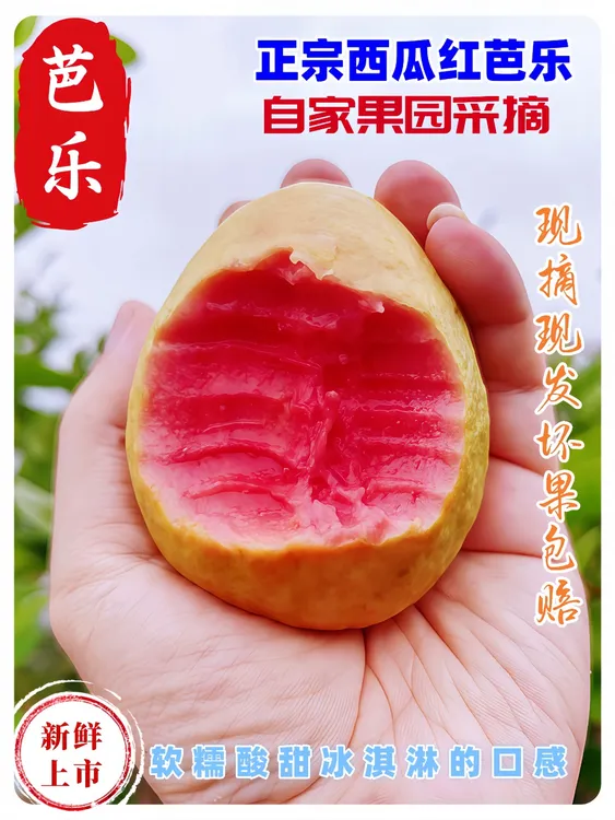 【软糯软心】红心白心番石榴新鲜水果当季低糖低卡软糯香甜