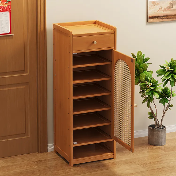 小户型入户门口鞋柜收纳神器不占空间家用公共楼道门网红外窄鞋架