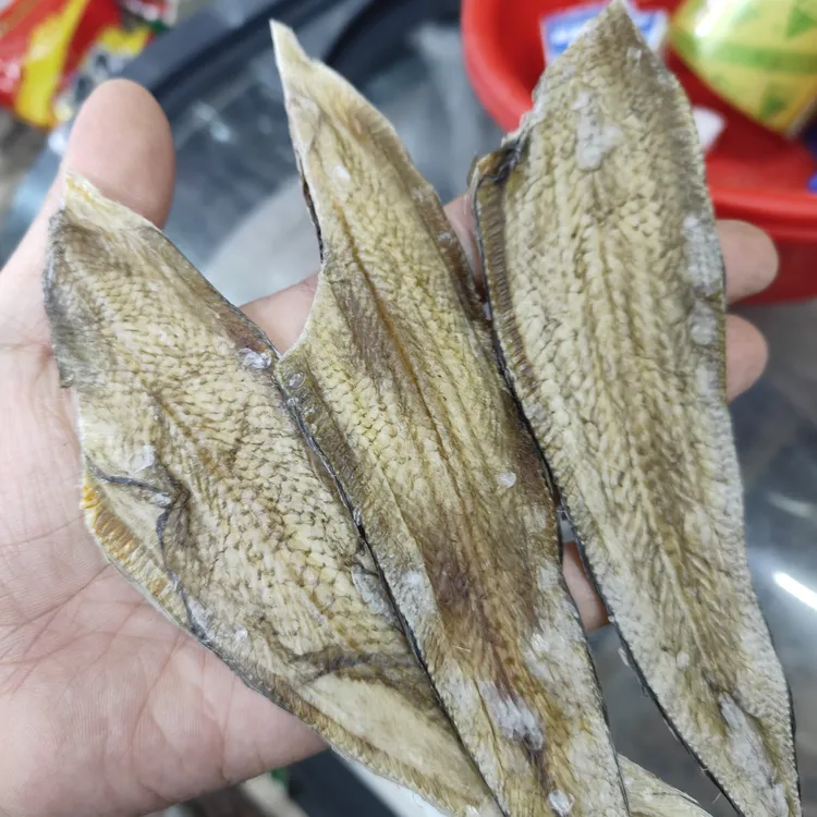 广东汕尾港去头龙舌脯龙利鱼干淡晒鱼干海鲜龙舌鱼干海味干货鱼脯
