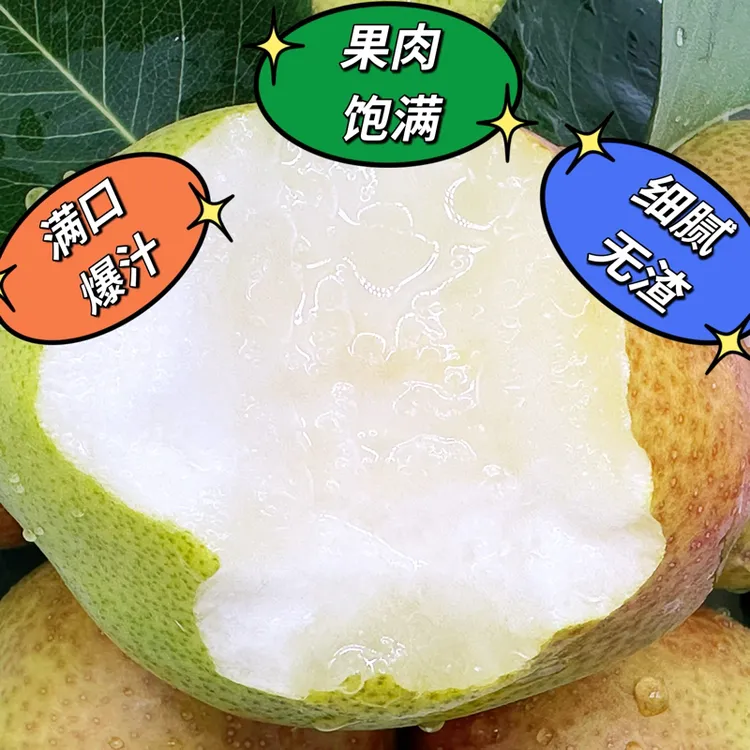 正宗香梨现摘现发脆甜多汁红香酥梨新鲜水果