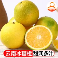 【鲜蜂队】云南冰糖橙5斤单果65mm起