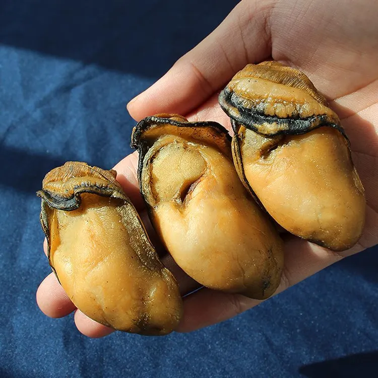 顺丰包邮.湛江官渡生蚝干 金蚝干大号渔民货 6成干 