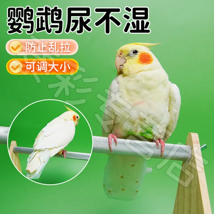 【宠大条】夏季可调节立体款鹦鹉尿不湿蕾丝八哥金太阳虎皮衣服屎兜