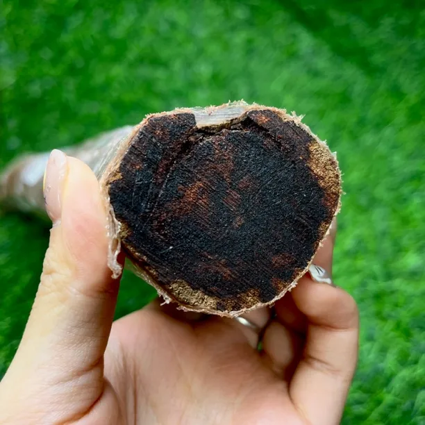 天然降真香爆香级深黄油高端软糖满油老倒架料猫猫推荐