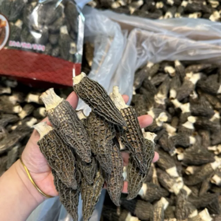 头期厚肉羊肚菌6-9高性价比 干货炖汤散装农产品 毛重