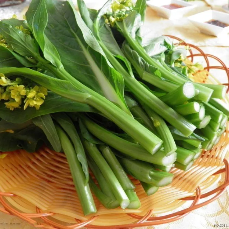 广东四九菜心种子四季广东青菜种籽农家高产盆栽新鲜蔬菜种孑大全