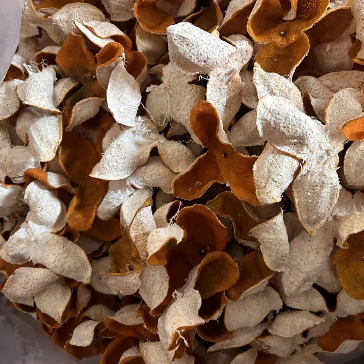 【2025年生晒茶枝柑收藏级大红皮）