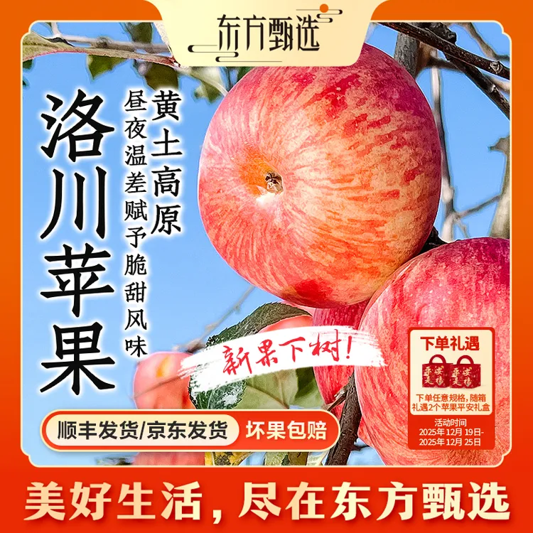 东方甄选自营洛川苹果脆甜多汁富士苹果新鲜应季水果苹果坏果包赔