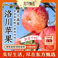 东方甄选自营洛川苹果脆甜多汁富士苹果新鲜应季水果苹果坏果包赔