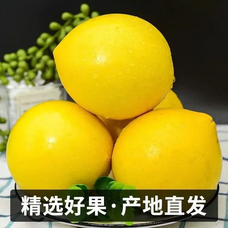 广西稀有品种果冻冬蜜黄晶果新鲜牛奶果黄金大果孕妇整箱顺丰包邮