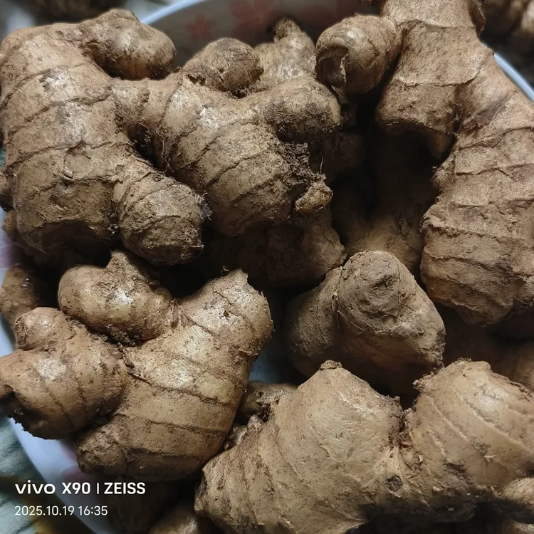 贵州小黄姜新鲜现挖老姜农家自种生姜月子姜应季蔬菜带泥直发