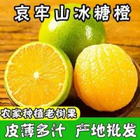 云南哀牢山青皮冰糖橙新鲜应季水果现摘现发皮薄多汁清甜