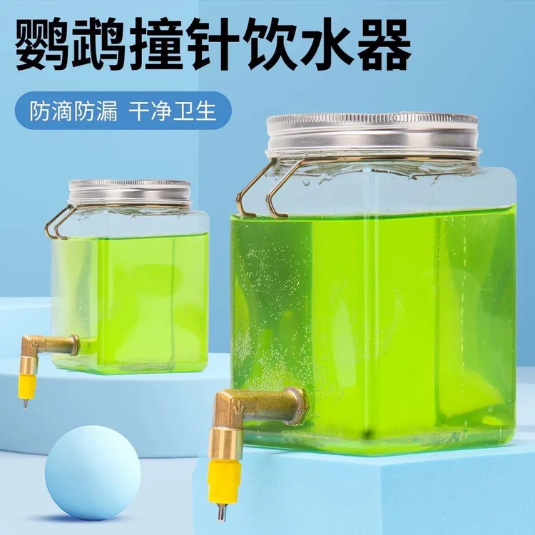 撞针饮水器鸟用水杯芦丁鸡水壶自动大容量宠物芙蓉鸟鹦鹉小鸡饮水