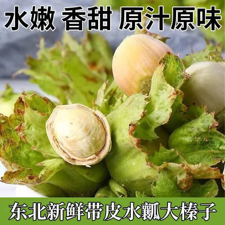 2025年辽宁现货新货原味东北青皮大榛子个大饱满包邮