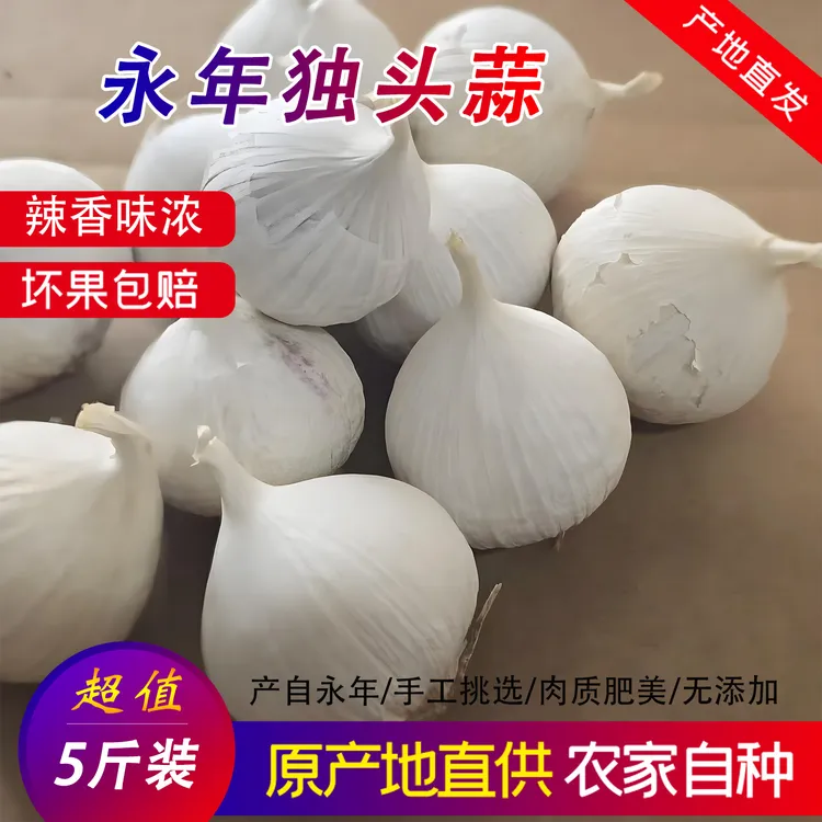 河北邯郸永年独头蒜白皮干蒜5斤产地直发农家自种 2025年新蒜批发