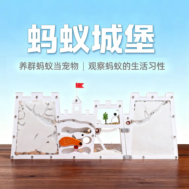 儿童蚂蚁工坊生物观察蚁巢蚂蚁城堡带蚁后可观察繁殖的蚂蚁生态箱