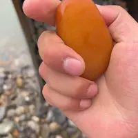 未镶嵌和田玉（糖玉）车挂