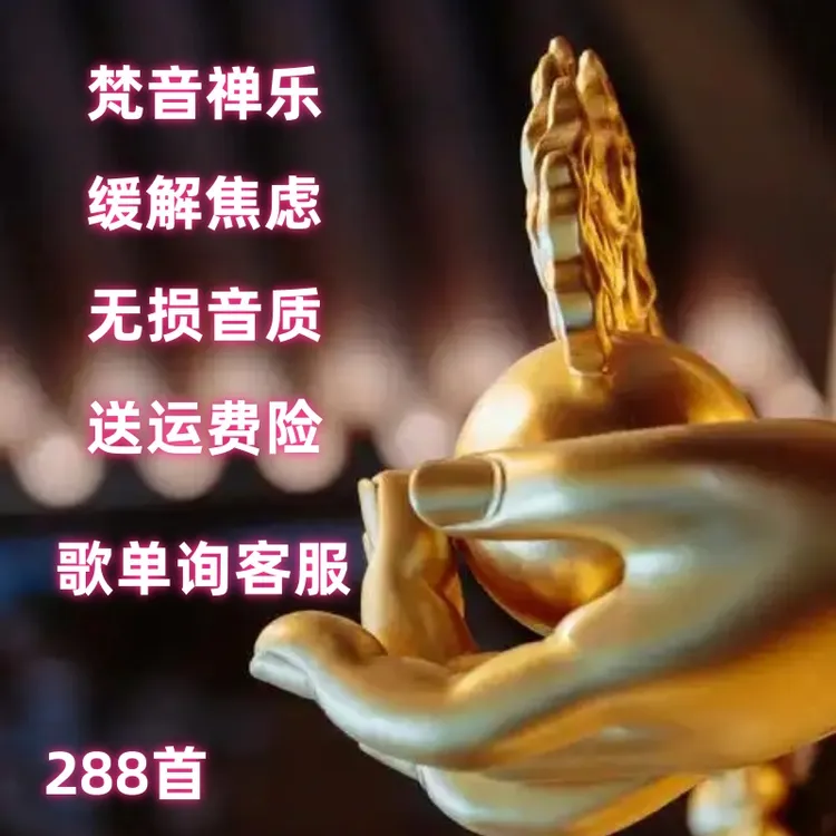 车载静心 梵音禅乐 印良 路勇六字五音无损音质mp3cd盘卡通用us