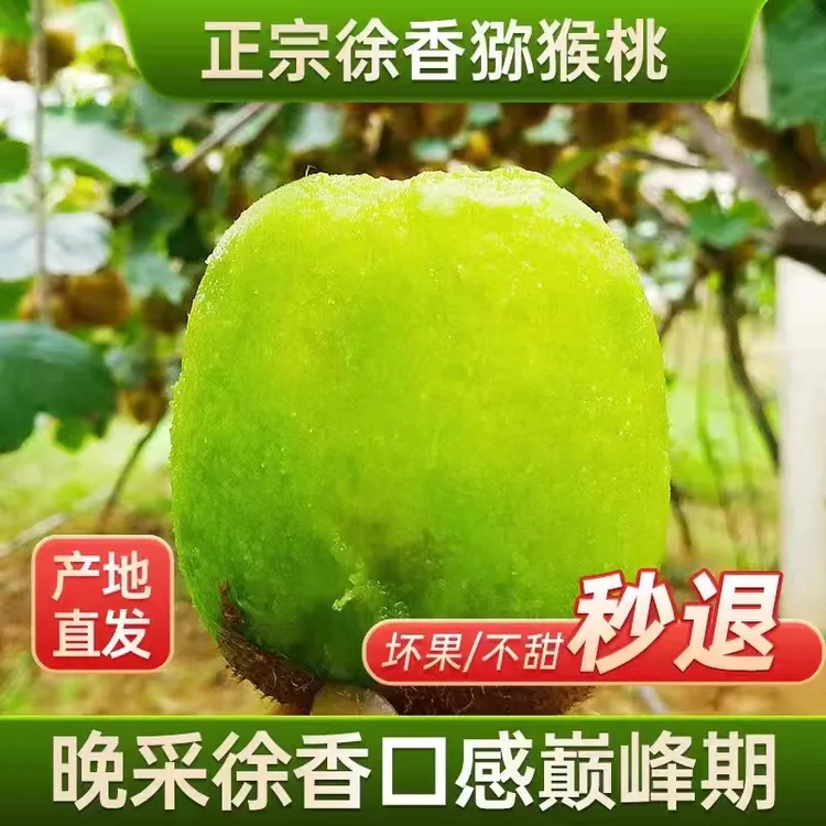 【爱丽家自家果园】陕西眉县徐香猕猴桃当季香甜皮薄肉厚 5/9斤包邮