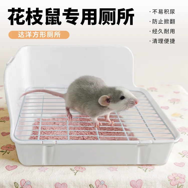 花枝鼠厕所专用垫料尿砂除臭兔子荷兰猪龙猫厕所达洋厕所便盆尿沙