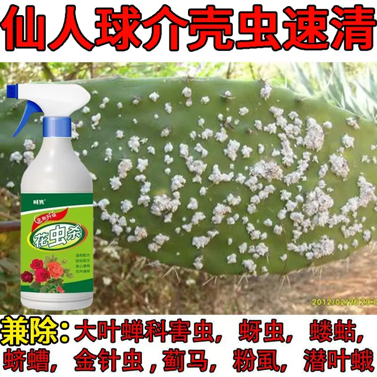 仙人掌蚧壳虫多菌灵除虫剂室内养花多肉盆栽除胭脂虫小飞黑红蜘蛛