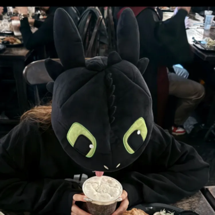 环球影城正品周边代购 驯龙高手无牙仔鸭舌帽帽子