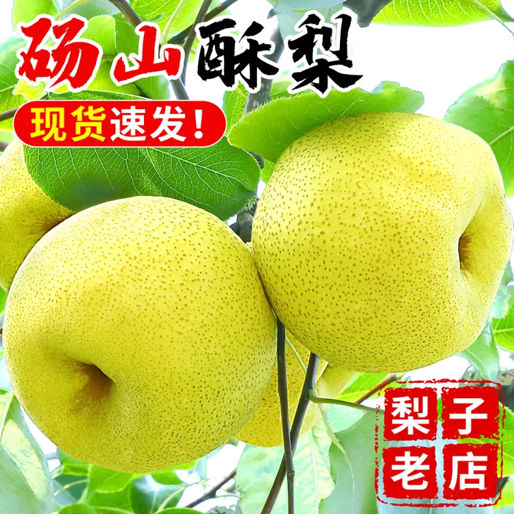 【福瑞达】正宗砀山酥梨9斤整箱包邮孕妇当季新鲜水果香脆梨雪梨